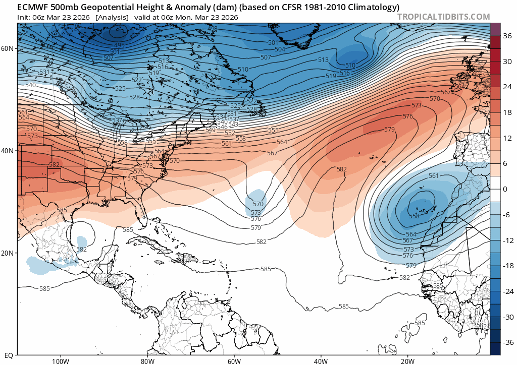ECMWF Model